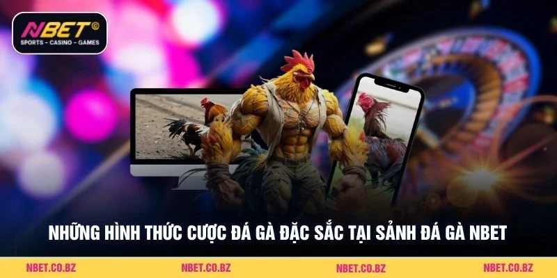 Những hình thức cược đá gà đặc sắc tại sảnh đá gà Nbet